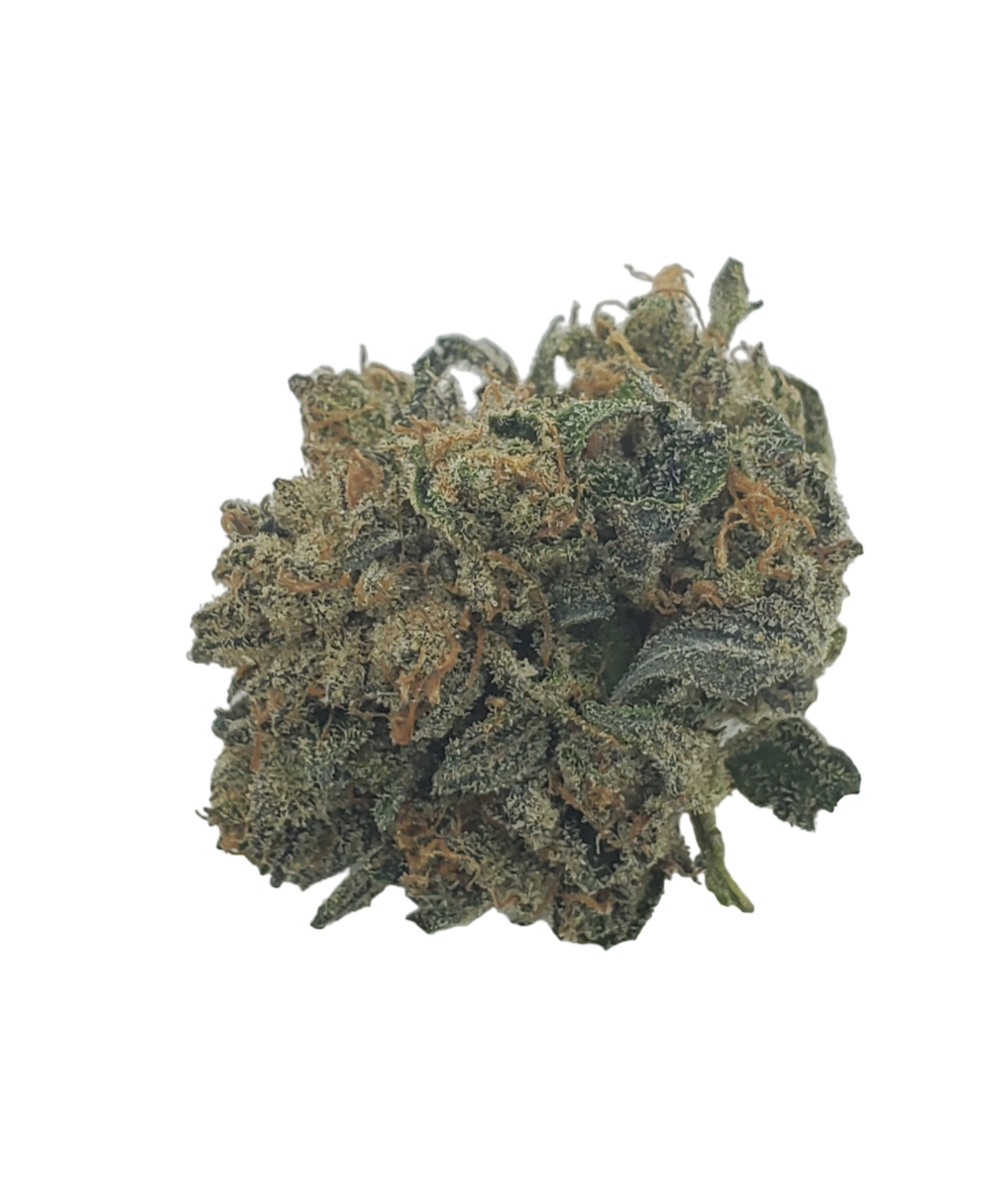Purple Gorilla Glue