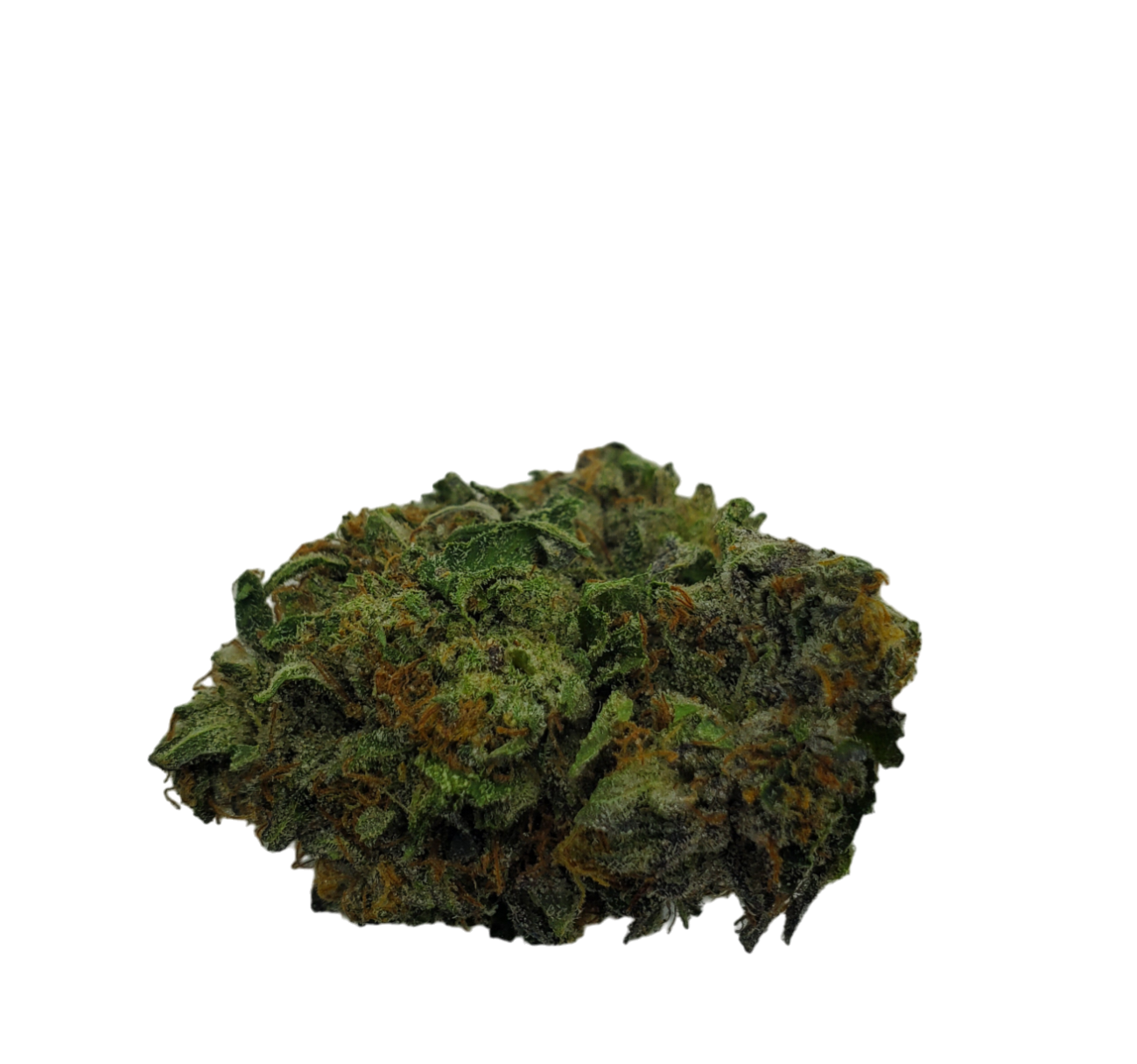 MK Ultra