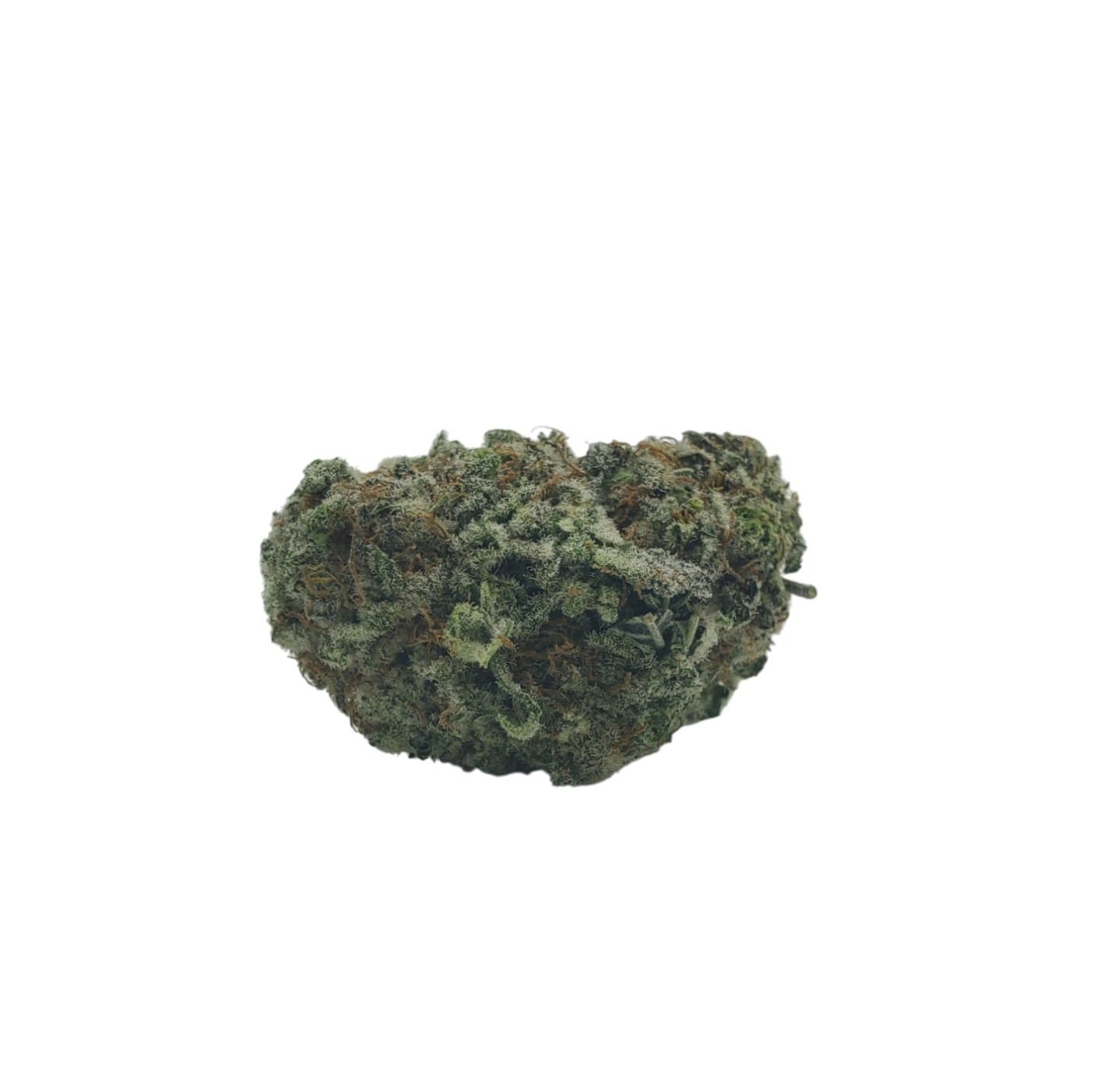 Rockstar punch hyb flower