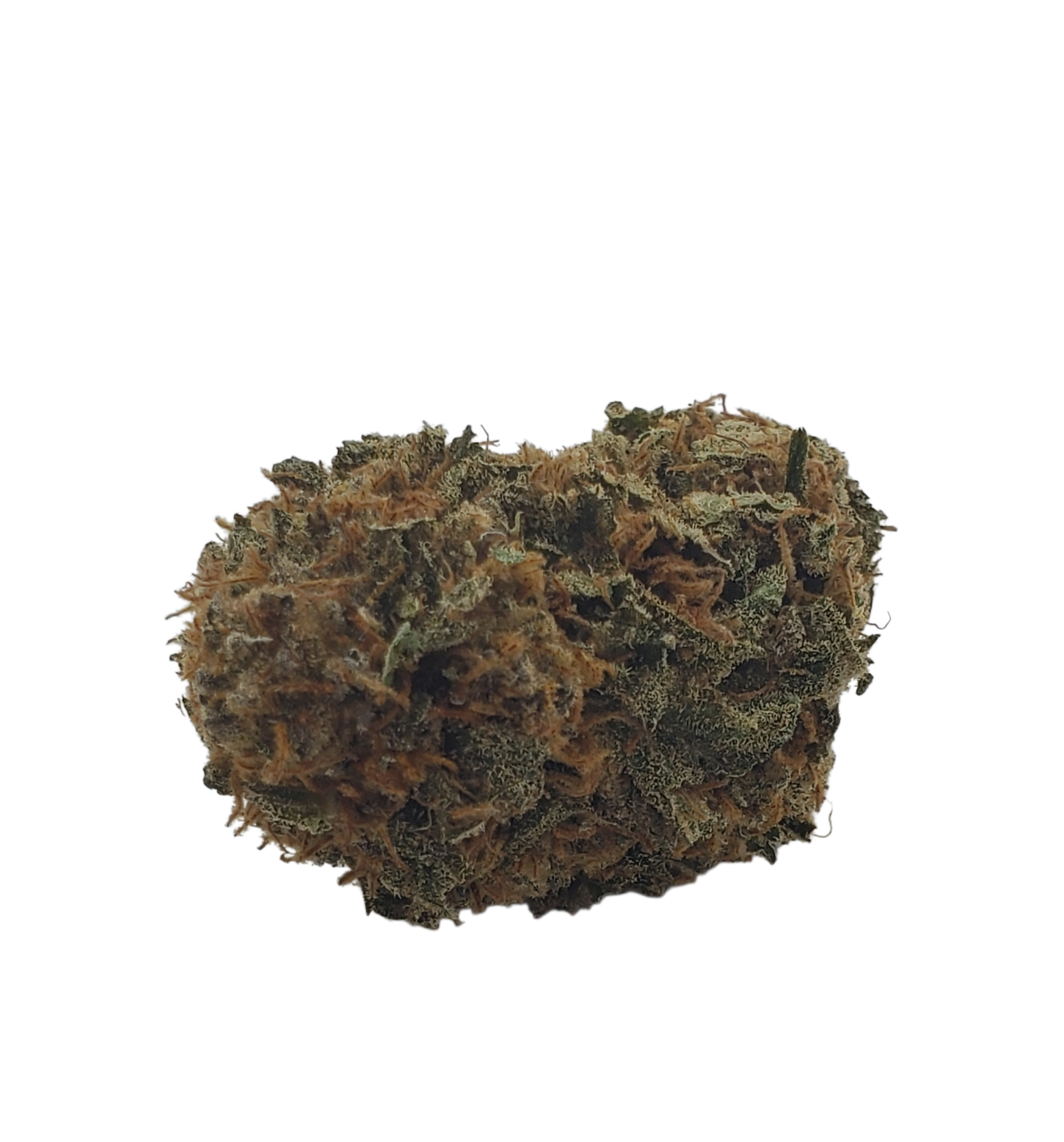 SS haze sativa