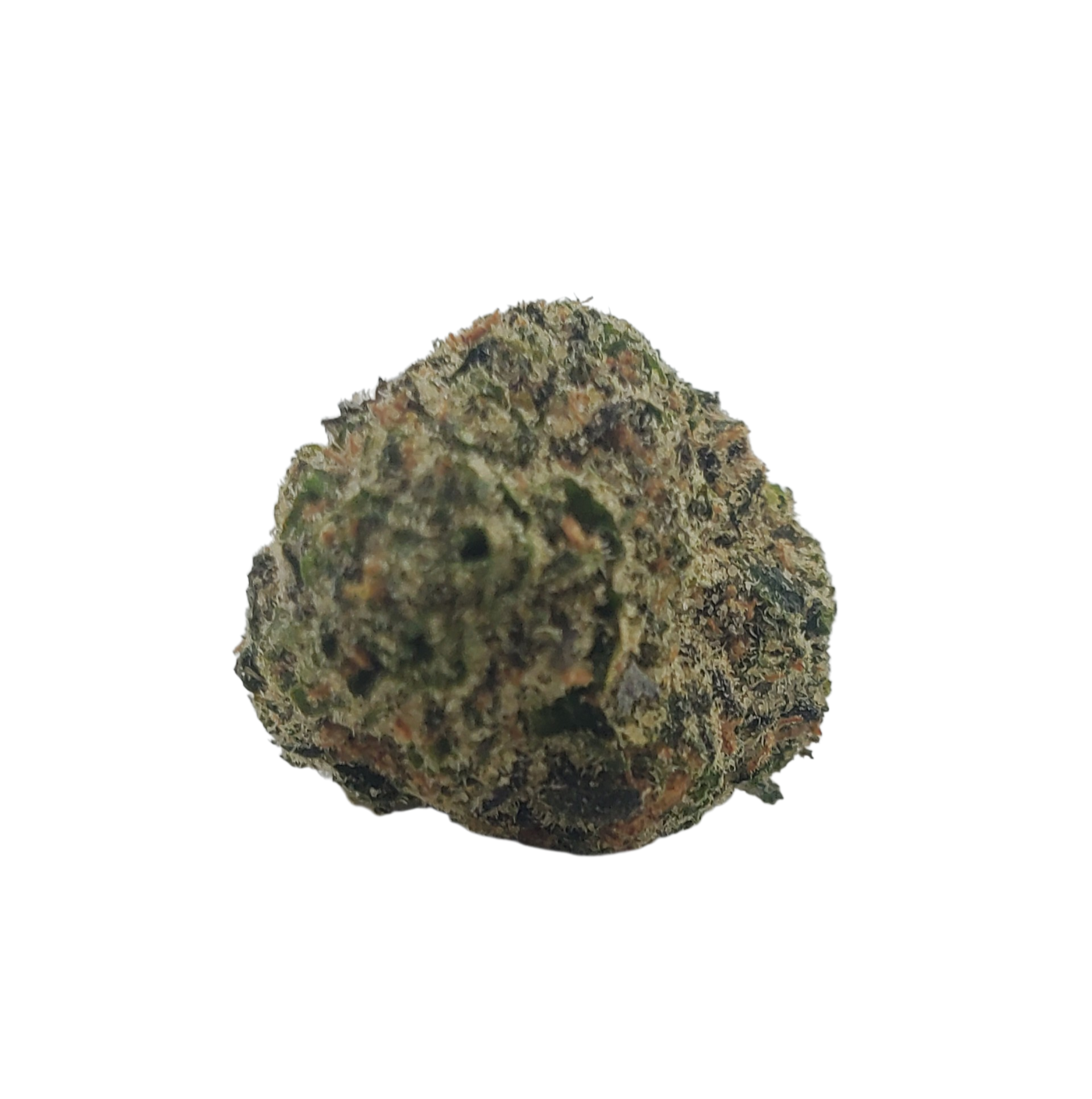 Blue Crush hybrid