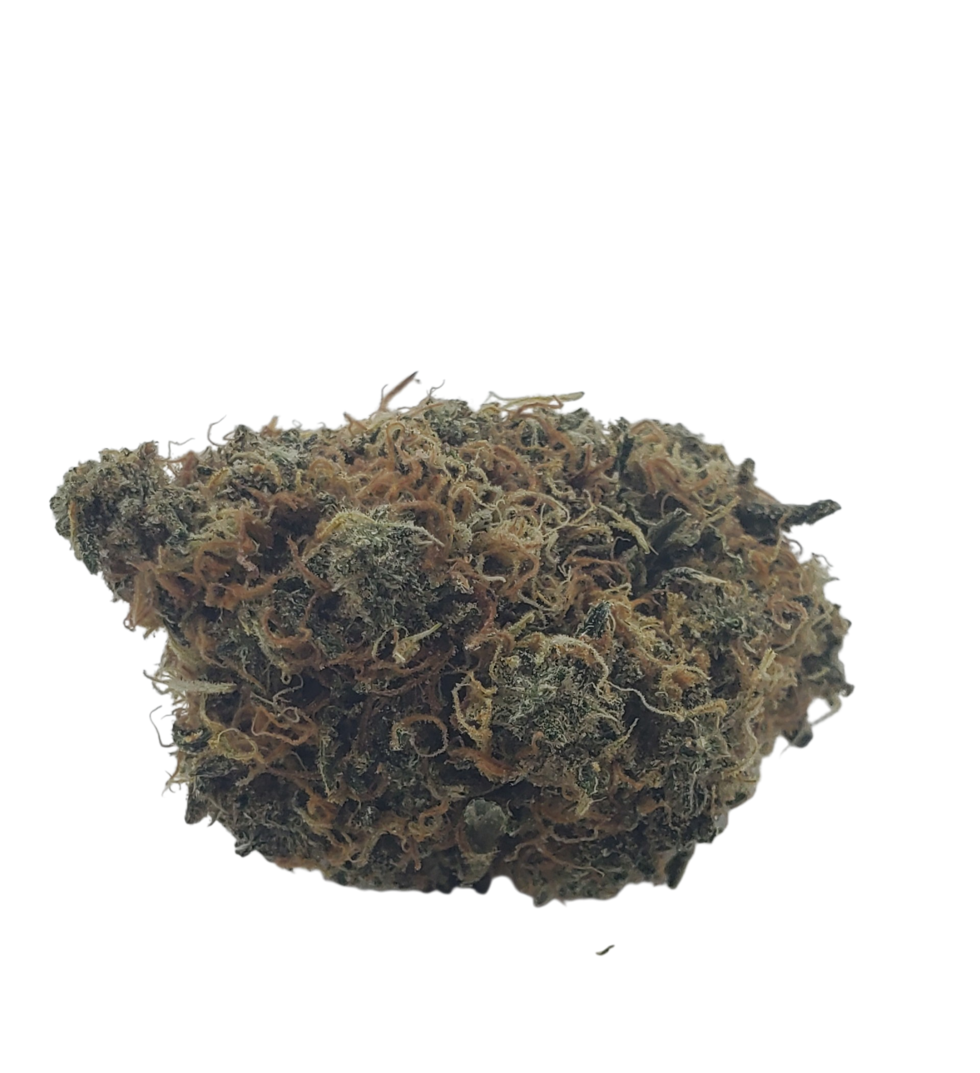 Cali Orange hybrid