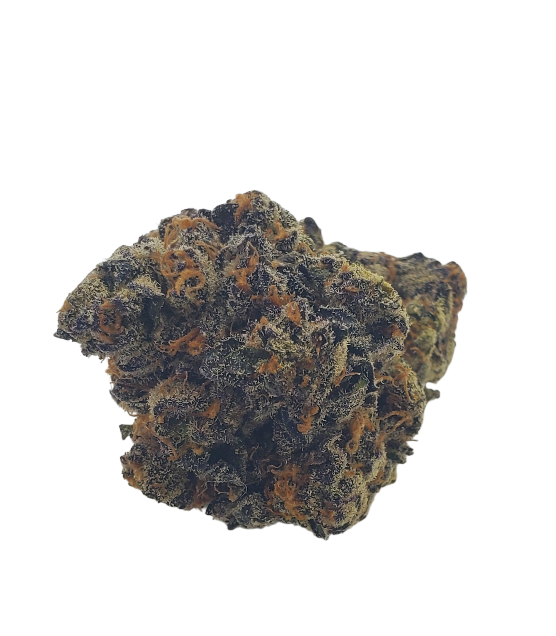 Pink Dream hybrid